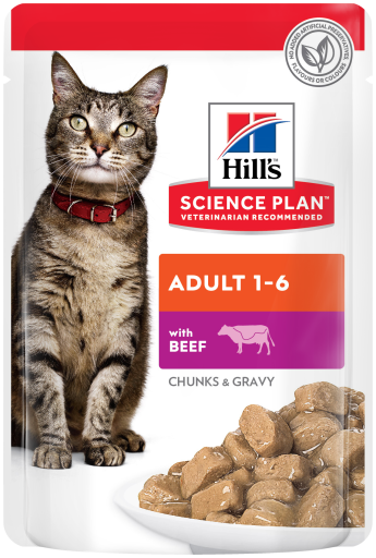 Hill's Science Plan Adult Pouches - Beef - 12 X 85g