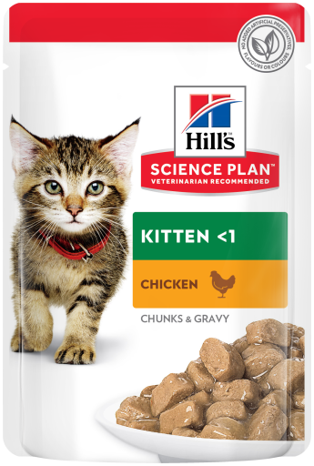HILLS Kitten Wet Food With Chicken 85g