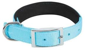ZOLUX NYLON COMF COLLAR 40CM 20MM TURQUOISE S